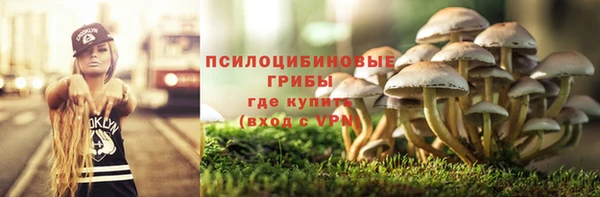 соль ск Алексин