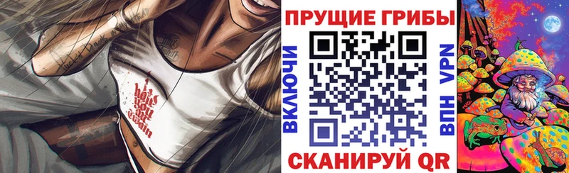 Галлюциногенные грибы Cubensis  Муром 