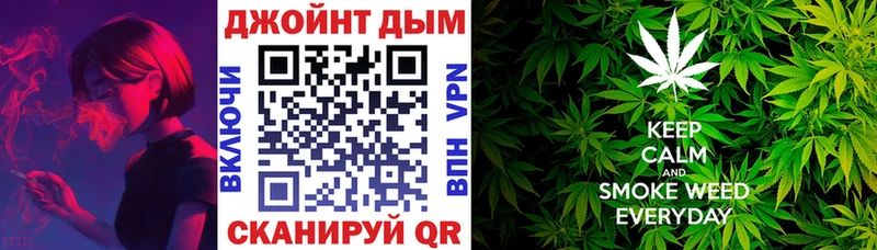 Конопля гибрид  Муром 